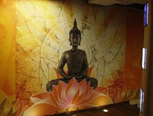 Ambient Backlit Feature — Wellness